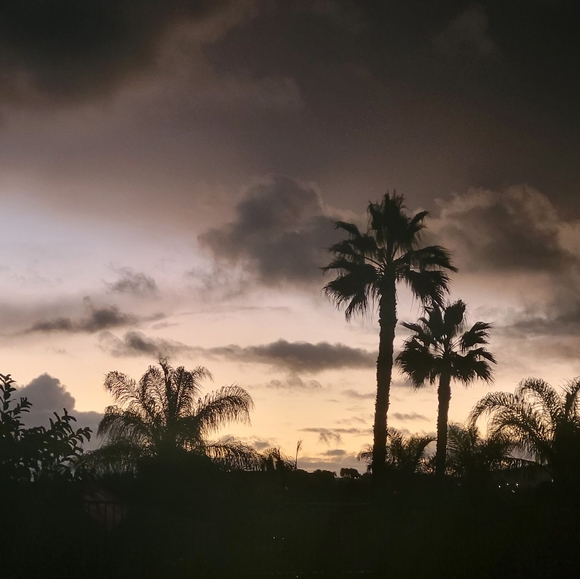 Meet your Posher, Ryon - Picture 9 of 16